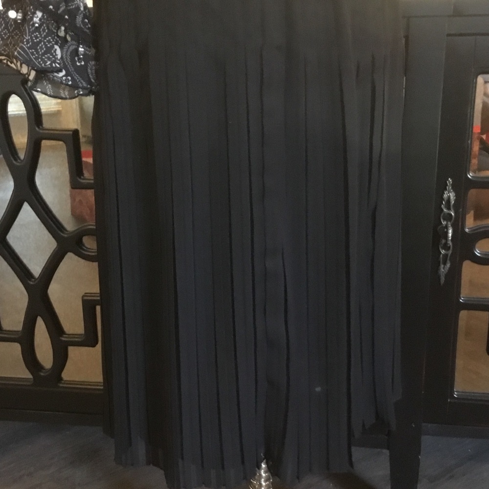 Beautiful Pleated Chiffon Skirt